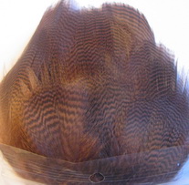 pintal flank brown  Natural Spirit